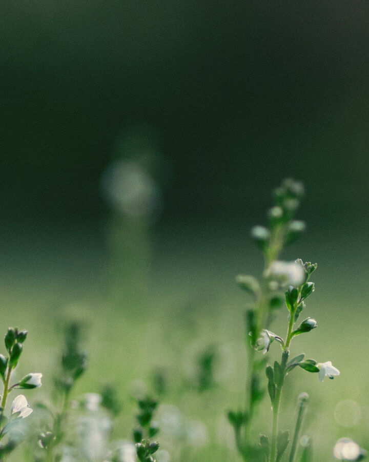 home page background image