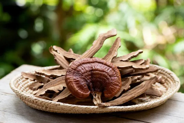 blog banner image