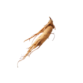 ingredients_11