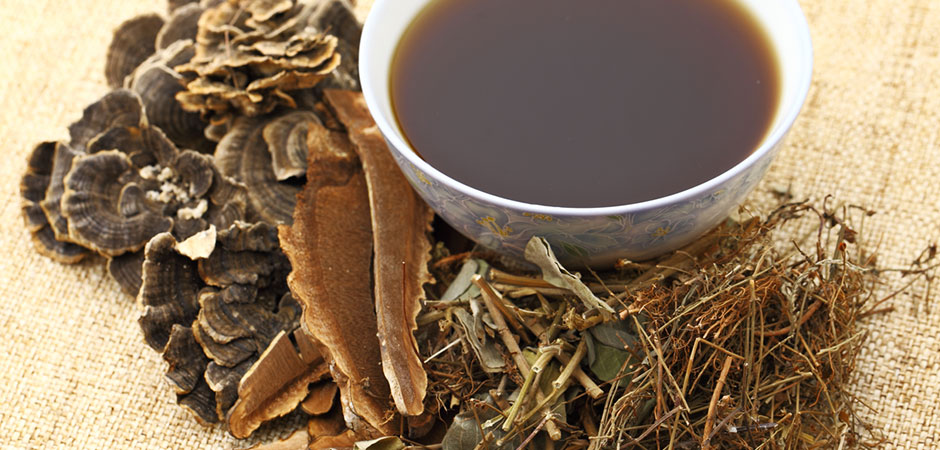 The Power of Medicinal Mushrooms