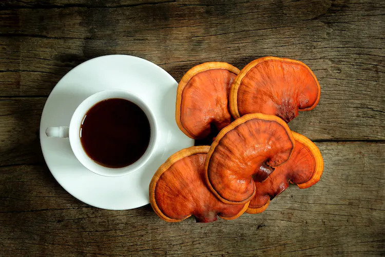 reishi-coffee